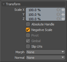 Scale Tool Panel