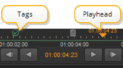 Tagging Using the Viewer