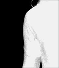 Explanation of How Primatte Works