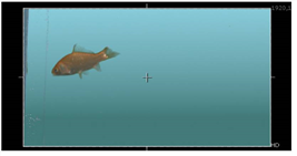 Keying with Primatte